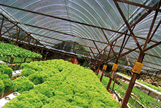 Post-harvest storage facility